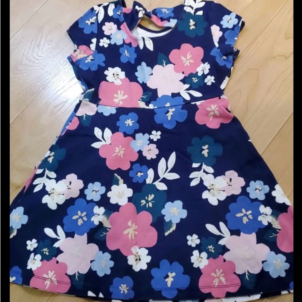 Gymboree Floral Dress - Navy and Pink